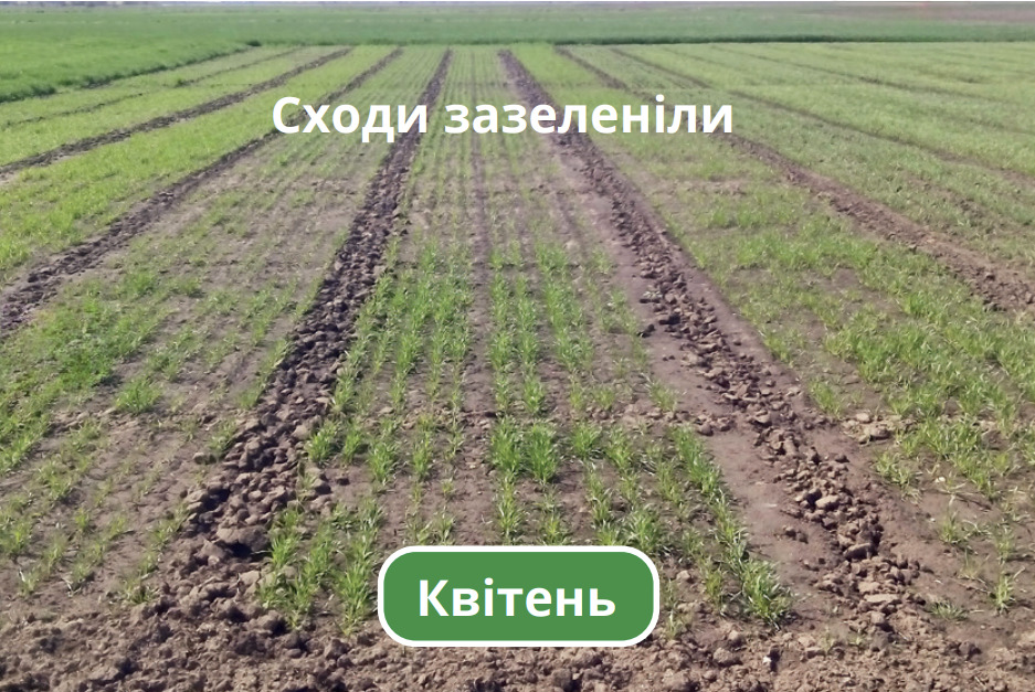 Квітень